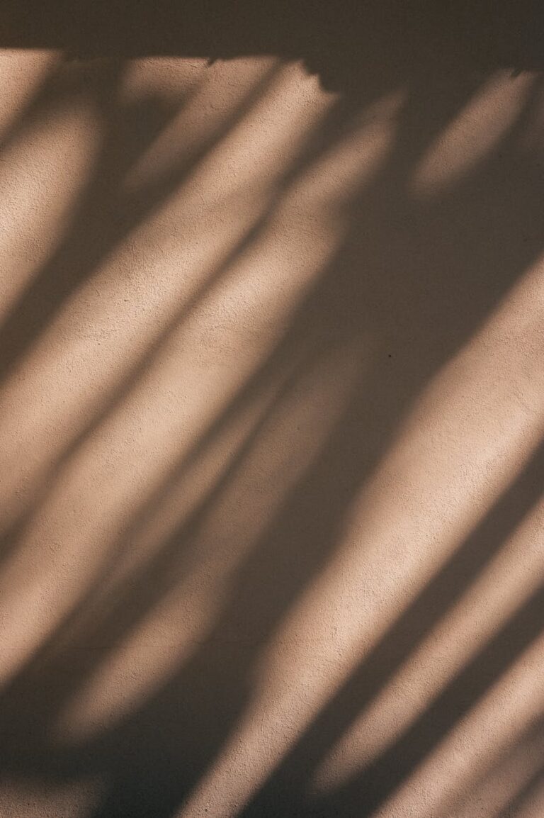 The Art of Minimalist Design: Creating Beauty Through Simplicity